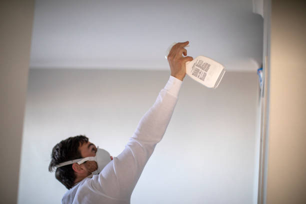 Trusted Hayfield, VA Mold Remediation Experts