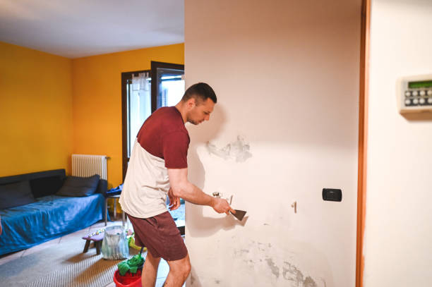 Best Post-Remediation Services in Hayfield, VA